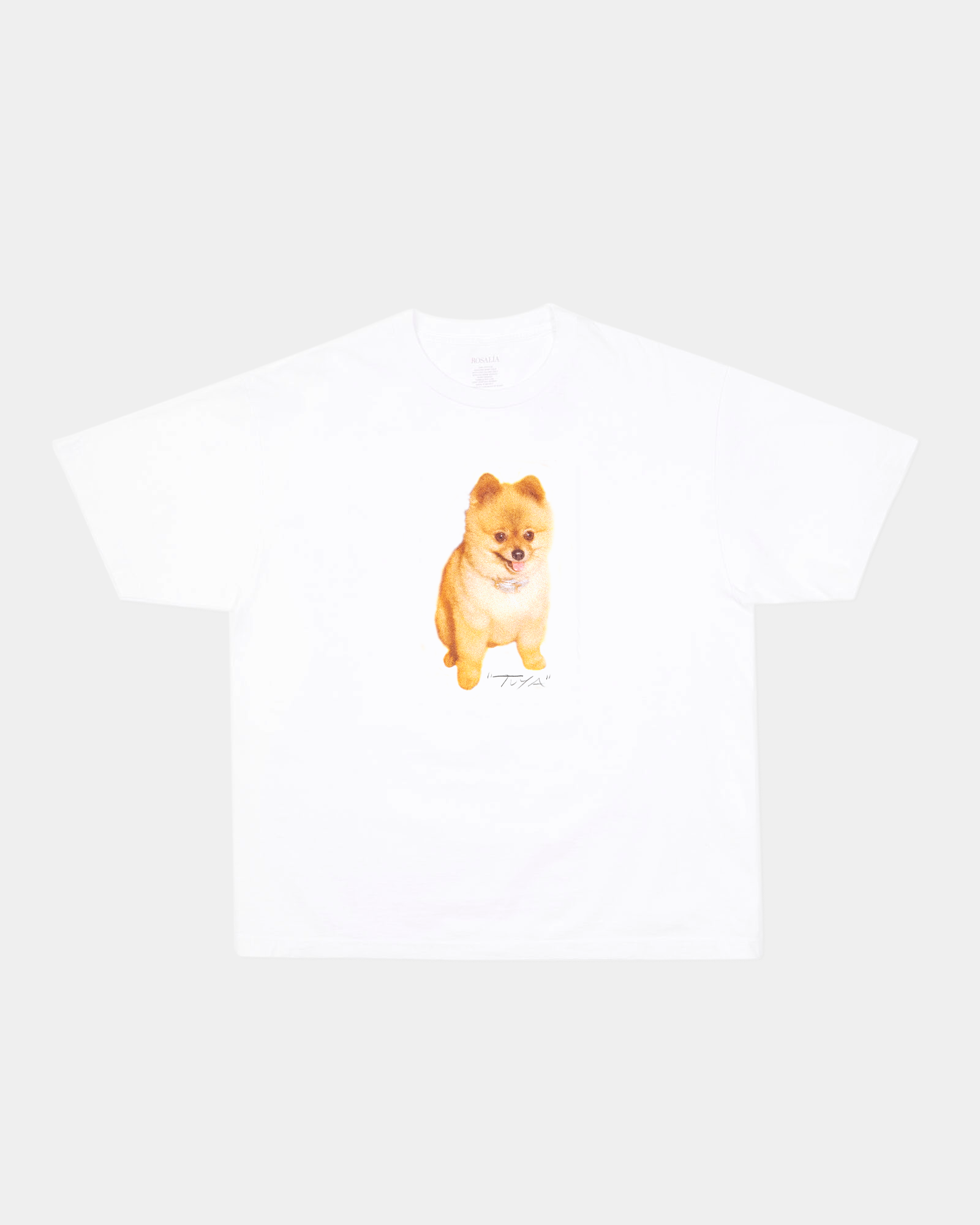 T-SHIRT DOG