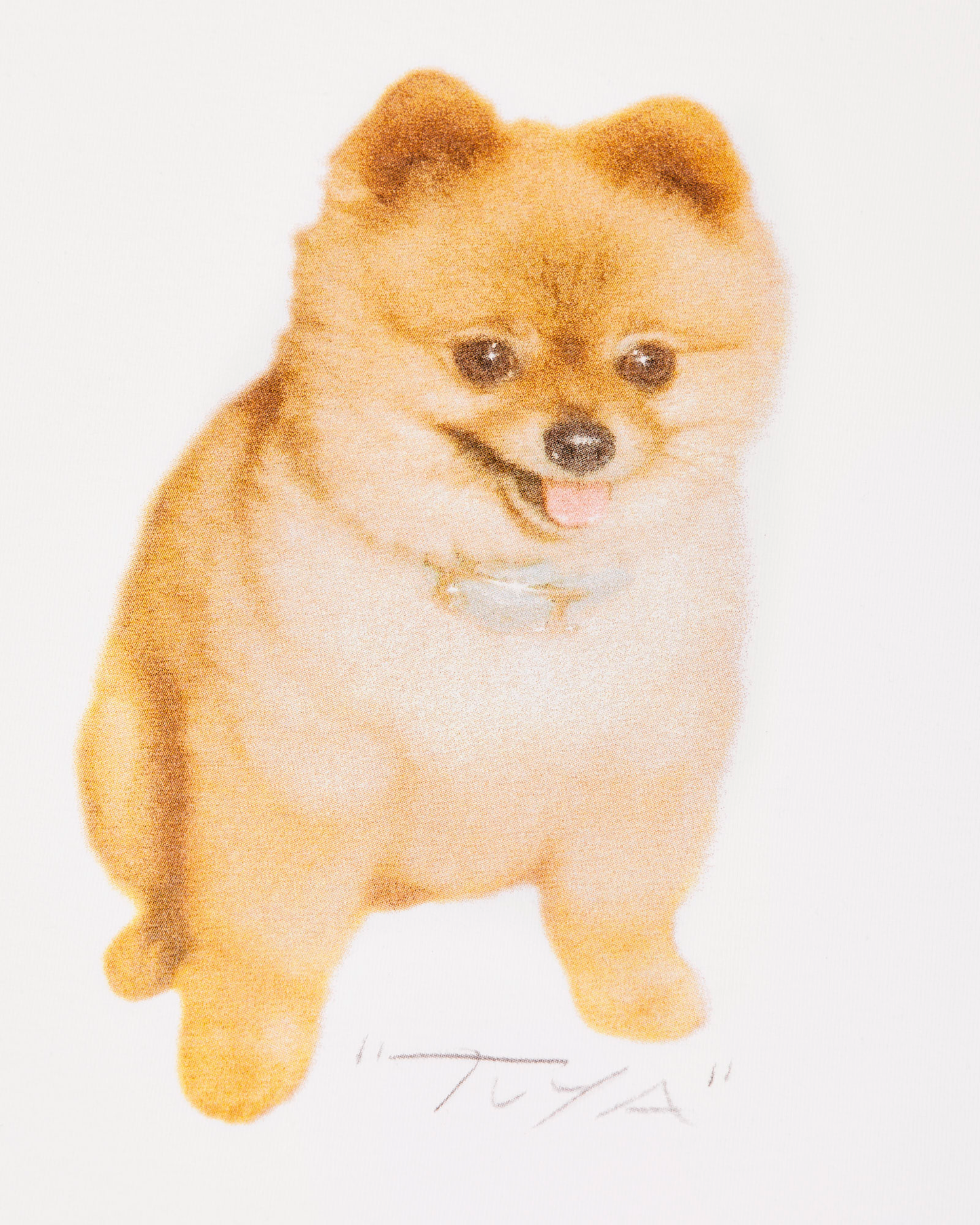 T-SHIRT DOG